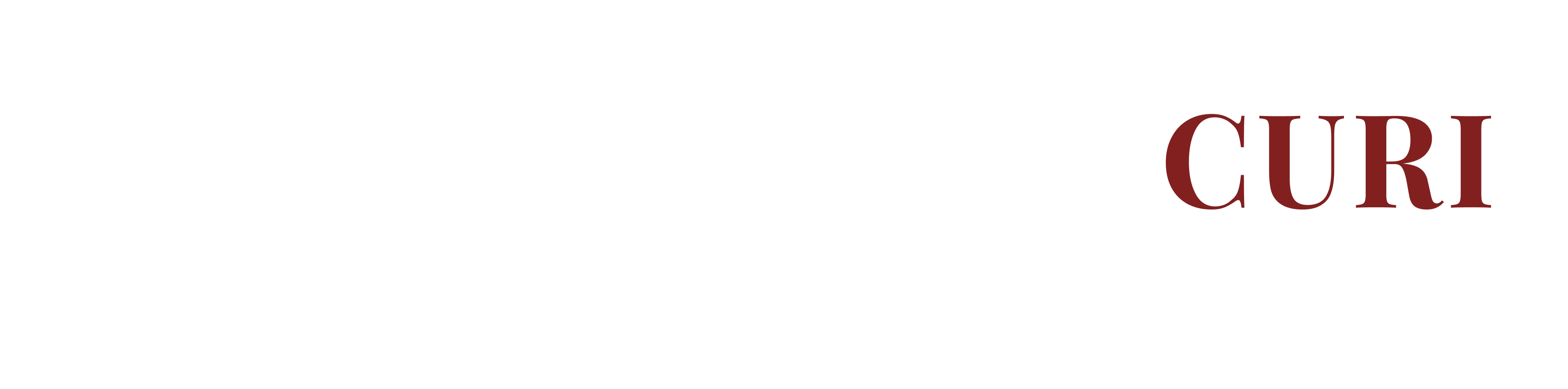Mendoza Curi Logo