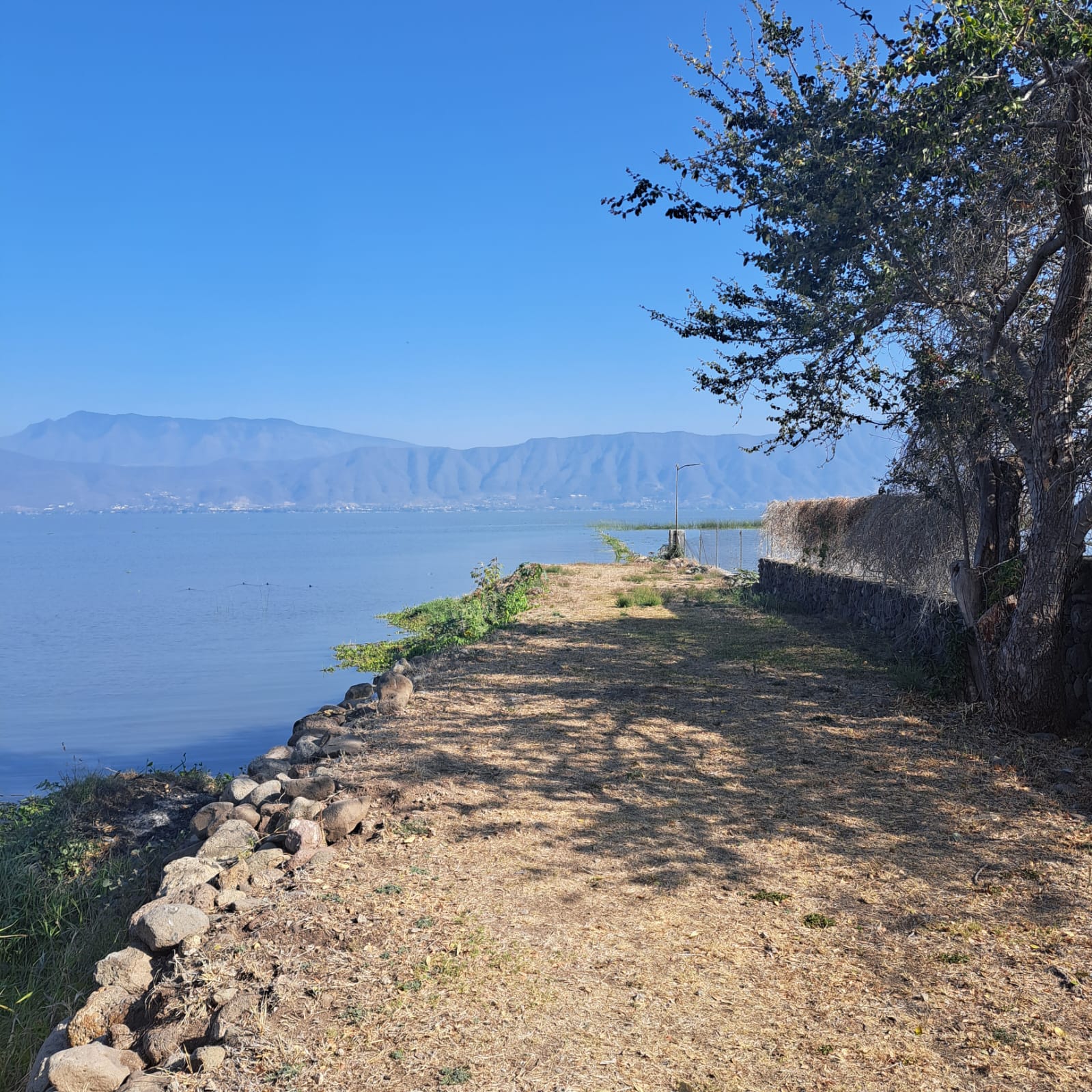 Terrenos Habitacionales en Jocotepec, LAKE SHORE. - foto 10