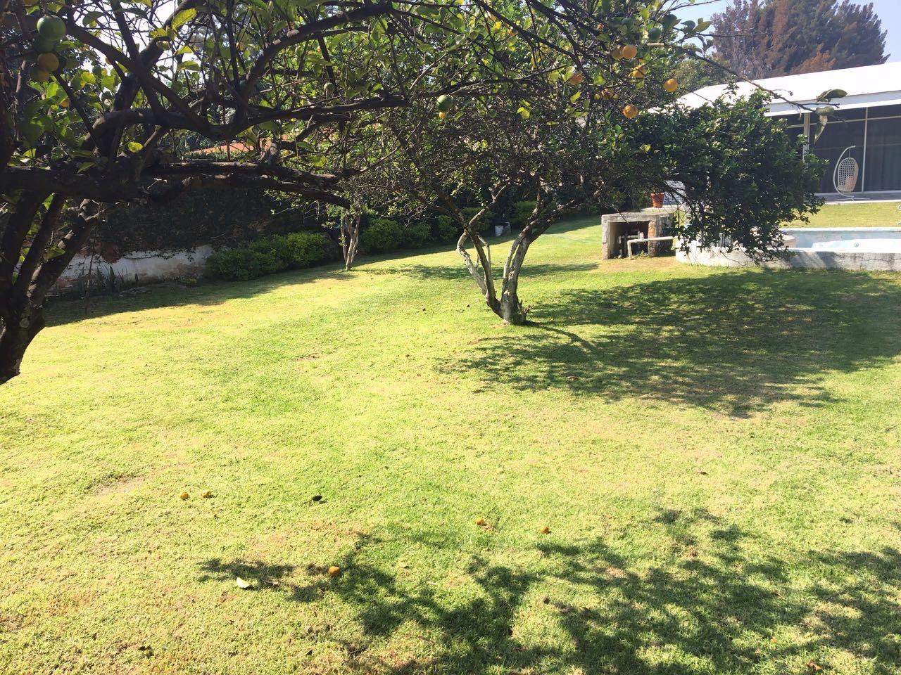 RESIDENCIA EN VENTA IDEAL PARA ASILO, CLÍNICA O INVERSIÓN - foto 9